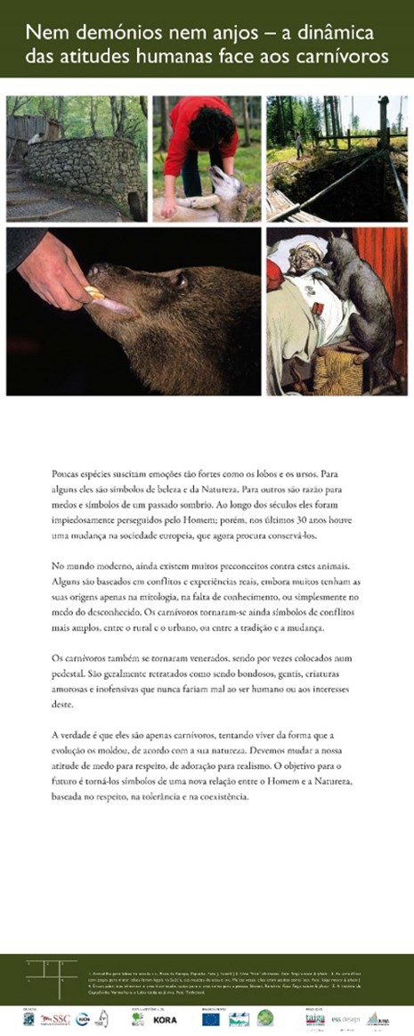 13. Neither demons nor angels - the dynamics of human attitudes towards carnivores